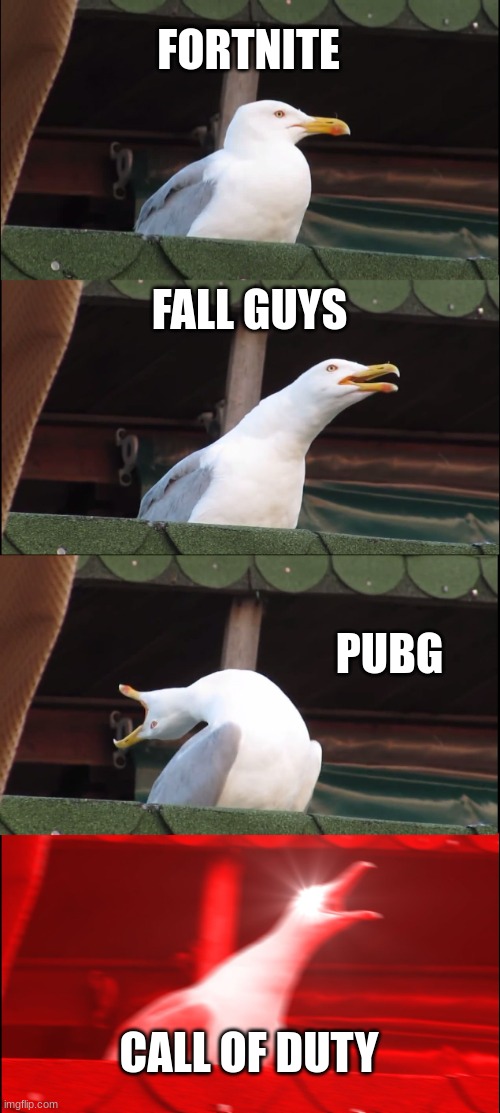 Inhaling Seagull Meme | FORTNITE; FALL GUYS; PUBG; CALL OF DUTY | image tagged in memes,inhaling seagull | made w/ Imgflip meme maker