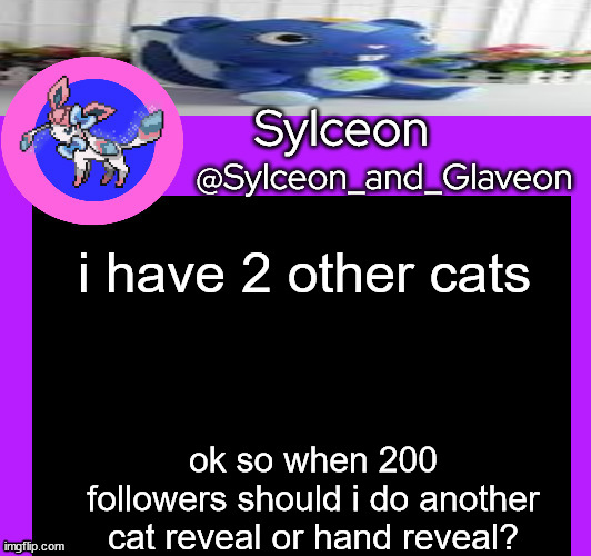 i have 2 other cats; ok so when 200 followers should i do another cat reveal or hand reveal? | image tagged in sylceon_and_glaveon 5 0 | made w/ Imgflip meme maker