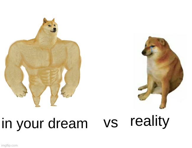 Buff Doge vs. Cheems | in your dream; reality; vs | image tagged in memes,buff doge vs cheems | made w/ Imgflip meme maker