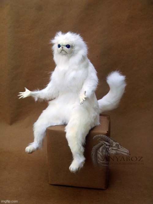Persian Cat Room Guardian Single | image tagged in memes,persian cat room guardian single | made w/ Imgflip meme maker