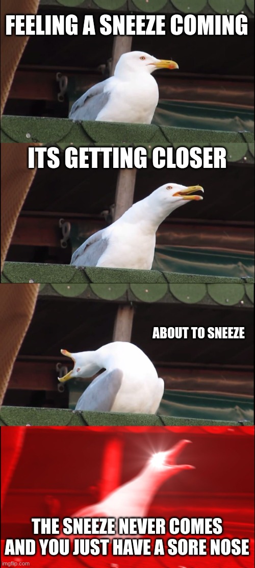 Inhaling Seagull | FEELING A SNEEZE COMING; ITS GETTING CLOSER; ABOUT TO SNEEZE; THE SNEEZE NEVER COMES AND YOU JUST HAVE A SORE NOSE | image tagged in memes,inhaling seagull | made w/ Imgflip meme maker