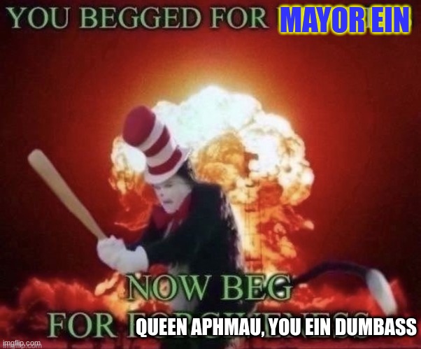 Send this to someone that loves ein | MAYOR EIN; QUEEN APHMAU, YOU EIN DUMBASS | image tagged in beg for forgiveness,dumbass | made w/ Imgflip meme maker