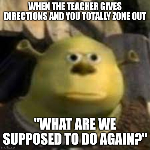 WHEN THE TEACHER GIVES DIRECTIONS AND YOU TOTALLY ZONE OUT; "WHAT ARE WE SUPPOSED TO DO AGAIN?" | image tagged in school,life | made w/ Imgflip meme maker