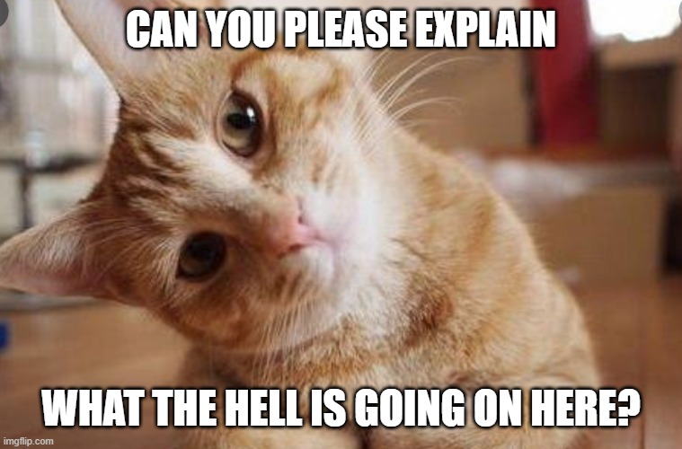 Please explain cat | CAN YOU PLEASE EXPLAIN WHAT THE HELL IS GOING ON HERE? | image tagged in please explain cat | made w/ Imgflip meme maker