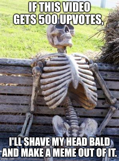 Waiting Skeleton Meme | IF THIS VIDEO GETS 500 UPVOTES, I'LL SHAVE MY HEAD BALD AND MAKE A MEME OUT OF IT. | image tagged in memes,waiting skeleton,if its | made w/ Imgflip meme maker