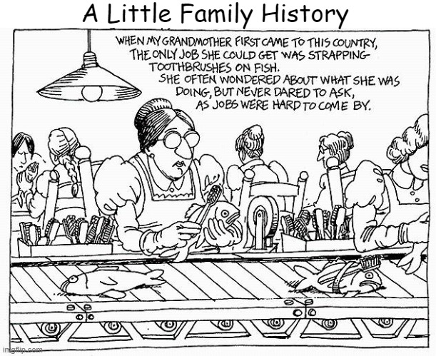 A Little Family History |  A Little Family History | image tagged in history,family history,family,job,memes,kliban | made w/ Imgflip meme maker