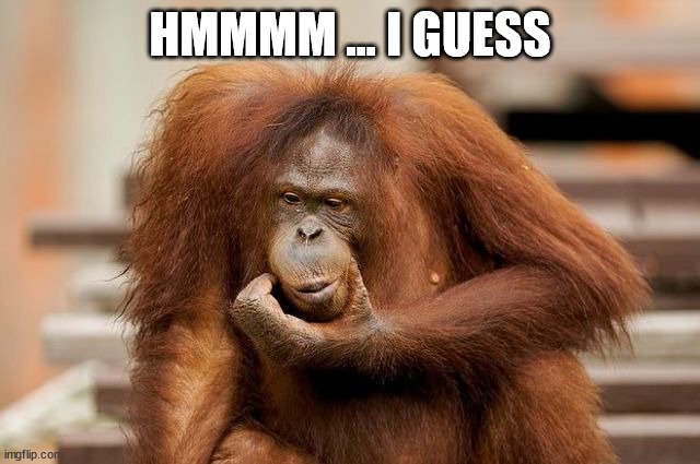 HMMMM ... I GUESS | made w/ Imgflip meme maker