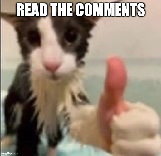 Cat thumbs up | READ THE COMMENTS | image tagged in cat thumbs up | made w/ Imgflip meme maker
