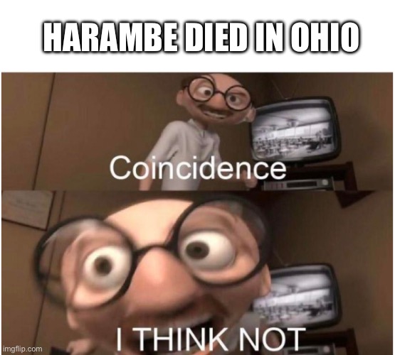 Monkeys get shot only in ohio |  HARAMBE DIED IN OHIO | image tagged in coincidence i think not | made w/ Imgflip meme maker
