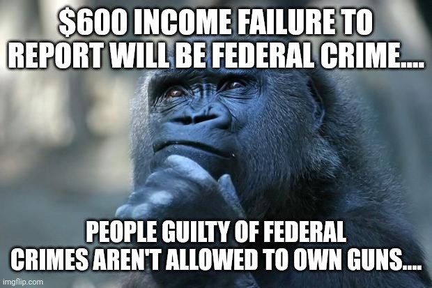 87000 irs agents just for your safety | $600 INCOME FAILURE TO REPORT WILL BE FEDERAL CRIME.... PEOPLE GUILTY OF FEDERAL CRIMES AREN'T ALLOWED TO OWN GUNS.... | image tagged in deep thoughts | made w/ Imgflip meme maker