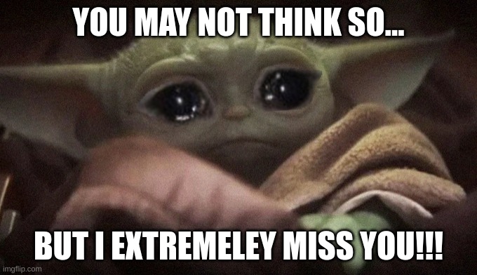 Crying Baby Yoda | YOU MAY NOT THINK SO... BUT I EXTREMELEY MISS YOU!!! | image tagged in crying baby yoda | made w/ Imgflip meme maker
