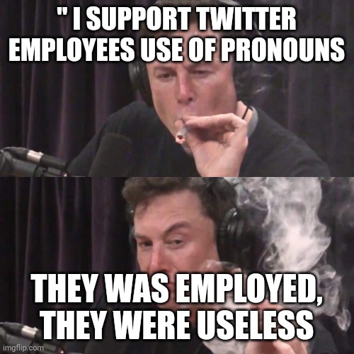 Pronounced...."unemployable" | " I SUPPORT TWITTER EMPLOYEES USE OF PRONOUNS; THEY WAS EMPLOYED, THEY WERE USELESS | image tagged in elon musk weed | made w/ Imgflip meme maker