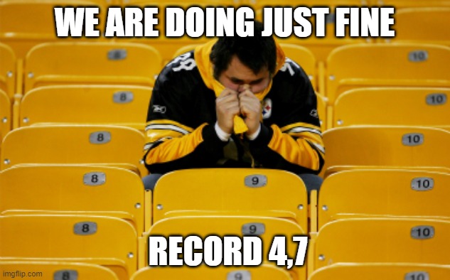 steelers | WE ARE DOING JUST FINE; RECORD 4,7 | image tagged in steelers | made w/ Imgflip meme maker