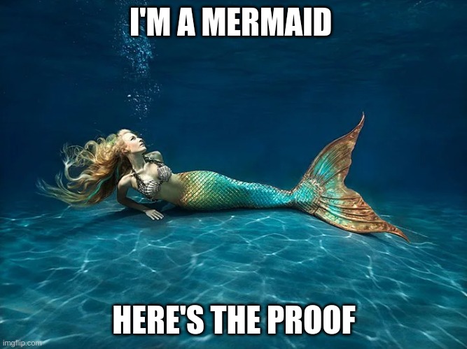 I'M A MERMAID; HERE'S THE PROOF | image tagged in mermaid | made w/ Imgflip meme maker