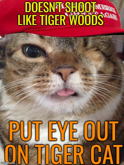 issue with one eye menu | DOESN'T SHOOT LIKE TIGER WOODS PUT EYE OUT ON TIGER CAT | image tagged in issue with one eye menu | made w/ Imgflip meme maker