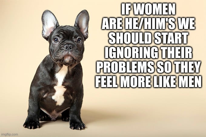 KSDawg | IF WOMEN ARE HE/HIM'S WE SHOULD START IGNORING THEIR PROBLEMS SO THEY FEEL MORE LIKE MEN | image tagged in ksdawg | made w/ Imgflip meme maker