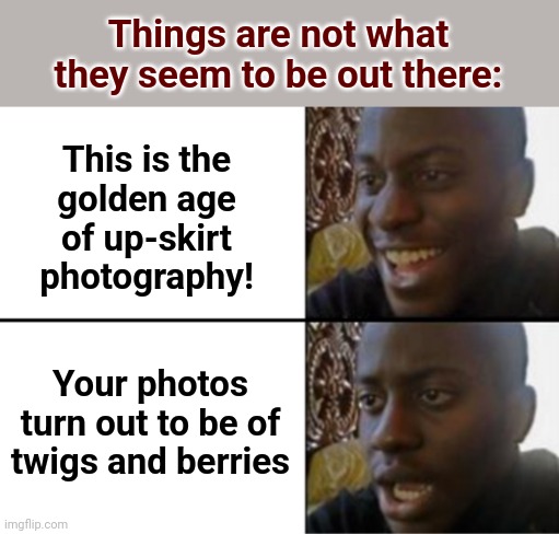 Got to be more careful... | Things are not what they seem to be out there:; This is the
golden age
of up-skirt
photography! Your photos turn out to be of twigs and berries | image tagged in oh yeah oh no,memes | made w/ Imgflip meme maker