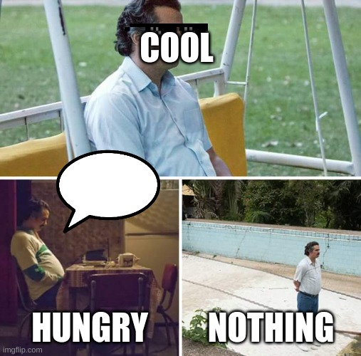 Sad Pablo Escobar | COOL; HUNGRY; NOTHING | image tagged in memes | made w/ Imgflip meme maker