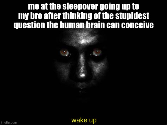wake up | me at the sleepover going up to my bro after thinking of the stupidest question the human brain can conceive; wake up | image tagged in sleepover,eyes in the dark | made w/ Imgflip meme maker