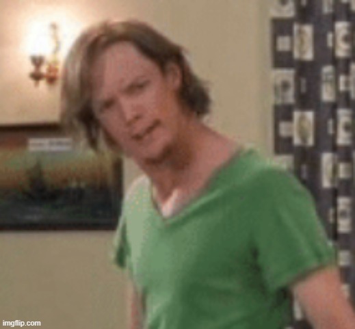 ArE YoU ChAlLeNgInG Me? | image tagged in are you challenging me,close up,shaggy,low quality | made w/ Imgflip meme maker