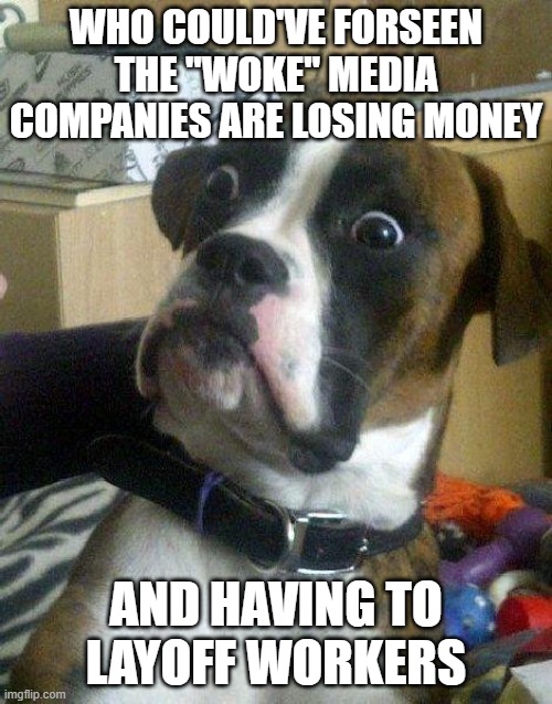 Surprised Dog | WHO COULD'VE FORSEEN THE "WOKE" MEDIA COMPANIES ARE LOSING MONEY; AND HAVING TO LAYOFF WORKERS | image tagged in surprised dog | made w/ Imgflip meme maker
