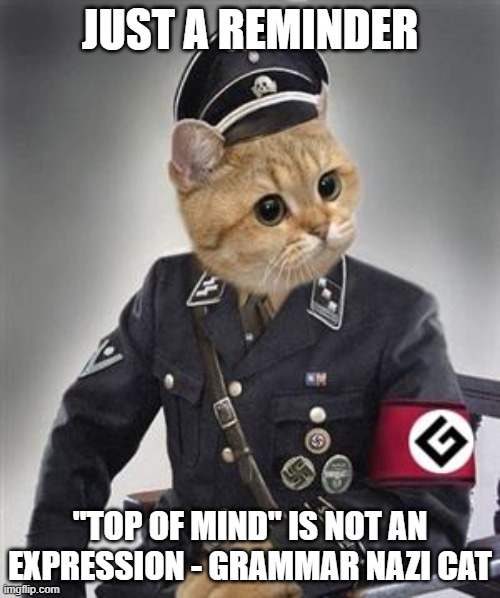 Grammar Nazi Cat | JUST A REMINDER; "TOP OF MIND" IS NOT AN EXPRESSION - GRAMMAR NAZI CAT | image tagged in grammar nazi cat | made w/ Imgflip meme maker