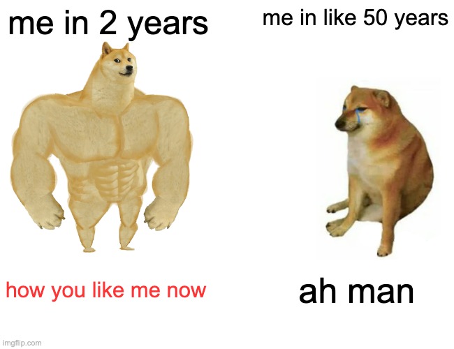 Buff Doge vs. Cheems | me in 2 years; me in like 50 years; how you like me now; ah man | image tagged in memes,buff doge vs cheems | made w/ Imgflip meme maker
