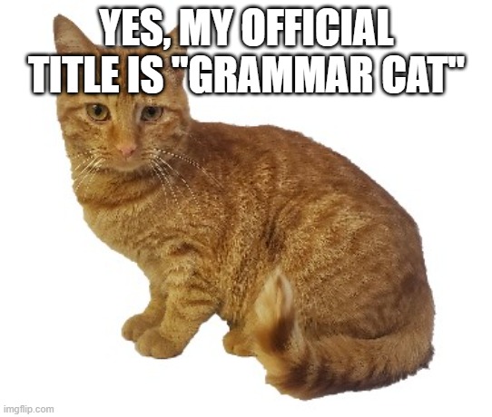 orange tabby cat sitting | YES, MY OFFICIAL TITLE IS "GRAMMAR CAT" | image tagged in orange tabby cat sitting | made w/ Imgflip meme maker