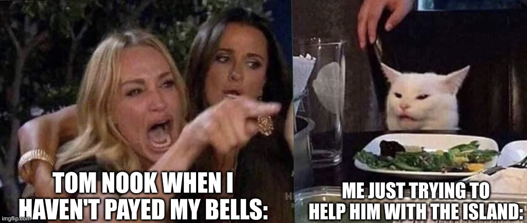 Tom Nook be like: | TOM NOOK WHEN I HAVEN'T PAYED MY BELLS:; ME JUST TRYING TO HELP HIM WITH THE ISLAND: | image tagged in woman yelling at cat | made w/ Imgflip meme maker