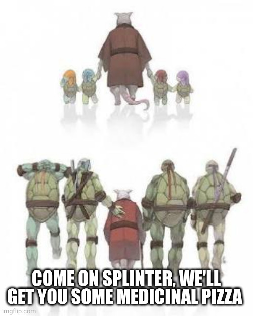 TMNT Grown up | COME ON SPLINTER, WE'LL GET YOU SOME MEDICINAL PIZZA | image tagged in tmnt grown up | made w/ Imgflip meme maker