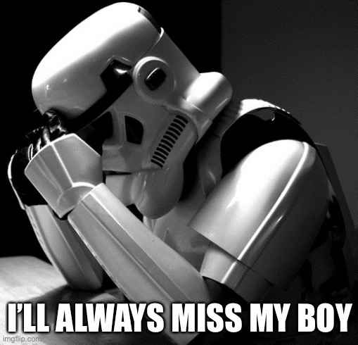 Missed again | I’LL ALWAYS MISS MY BOY | image tagged in depressed stormtrooper,missed the point | made w/ Imgflip meme maker