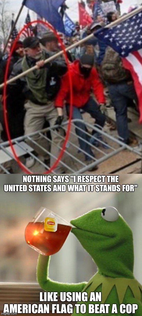 Rot in prison, asshole | NOTHING SAYS "I RESPECT THE UNITED STATES AND WHAT IT STANDS FOR"; LIKE USING AN AMERICAN FLAG TO BEAT A COP | image tagged in memes,but that's none of my business | made w/ Imgflip meme maker