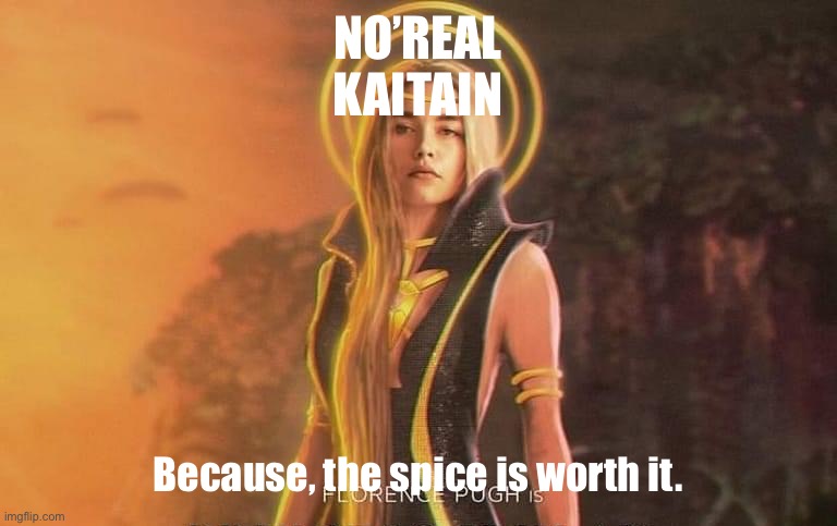 Irulan worth it | NO’REAL
KAITAIN; Because, the spice is worth it. | image tagged in dune,princess | made w/ Imgflip meme maker
