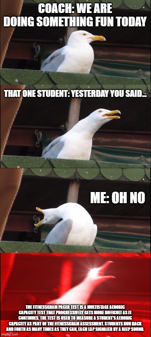 Inhaling Seagull Meme | COACH: WE ARE DOING SOMETHING FUN TODAY; THAT ONE STUDENT: YESTERDAY YOU SAID... ME: OH NO; THE FITNESSGRAM PACER TEST IS A MULTISTAGE AEROBIC CAPACITY TEST THAT PROGRESSIVELY GETS MORE DIFFICULT AS IT CONTINUES. THE TEST IS USED TO MEASURE A STUDENT'S AEROBIC CAPACITY AS PART OF THE FITNESSGRAM ASSESSMENT. STUDENTS RUN BACK AND FORTH AS MANY TIMES AS THEY CAN, EACH LAP SIGNALED BY A BEEP SOUND. | image tagged in memes,inhaling seagull | made w/ Imgflip meme maker