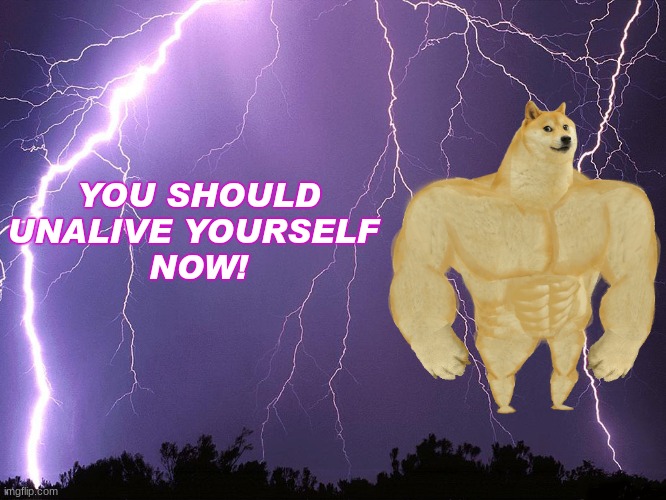 you should UNALIVE yourself NOW | YOU SHOULD UNALIVE YOURSELF 
NOW! | image tagged in you should unalive yourself now | made w/ Imgflip meme maker