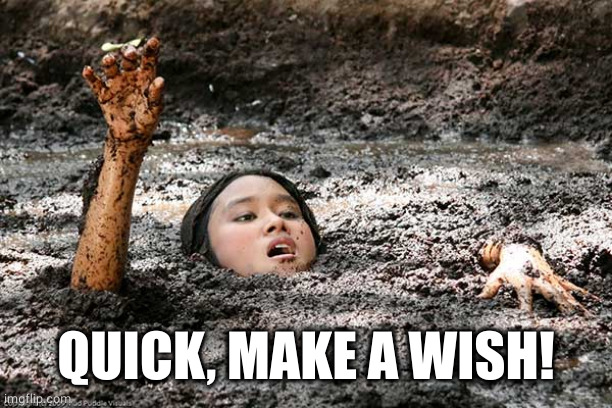 Quicksand | QUICK, MAKE A WISH! | image tagged in quicksand | made w/ Imgflip meme maker