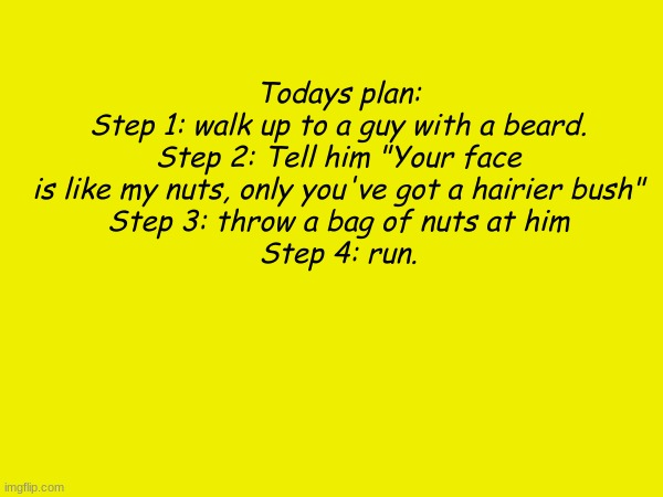 todays plan | Todays plan:
 Step 1: walk up to a guy with a beard. 
Step 2: Tell him "Your face is like my nuts, only you've got a hairier bush"
Step 3: throw a bag of nuts at him
Step 4: run. | made w/ Imgflip meme maker
