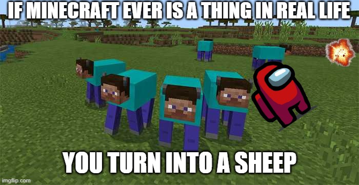 me and the boys | IF MINECRAFT EVER IS A THING IN REAL LIFE; YOU TURN INTO A SHEEP | image tagged in me and the boys,sheep,steve,human | made w/ Imgflip meme maker