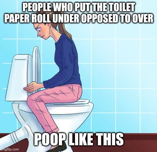 Its Over not under |  PEOPLE WHO PUT THE TOILET PAPER ROLL UNDER OPPOSED TO OVER; POOP LIKE THIS | image tagged in toilet paper,over the top,pooping,you're wrong,not under,shitting | made w/ Imgflip meme maker