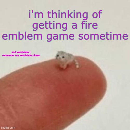 idk | i'm thinking of getting a fire emblem game sometime; and xenoblade i remember my xenoblade phaes | image tagged in drm's el wiwi template | made w/ Imgflip meme maker