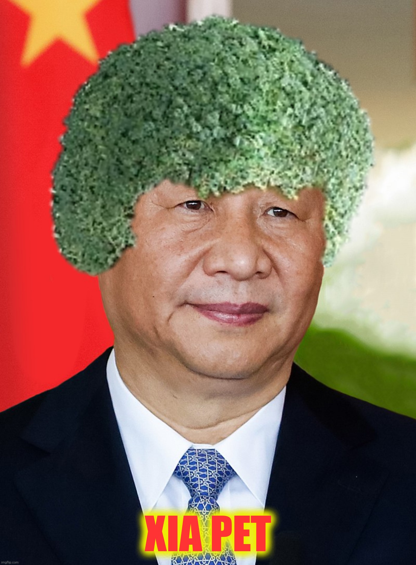With Ukrainian agriculture devastated China introduces Plan B | XIA PET | image tagged in bad photoshop,chia pet,agriculture | made w/ Imgflip meme maker