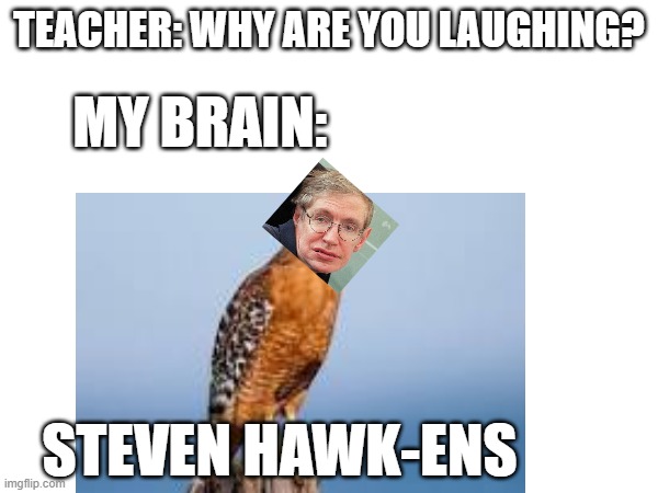 TEACHER: WHY ARE YOU LAUGHING? MY BRAIN:; STEVEN HAWK-ENS | made w/ Imgflip meme maker