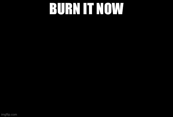 elmo maligno | BURN IT NOW | image tagged in elmo maligno | made w/ Imgflip meme maker