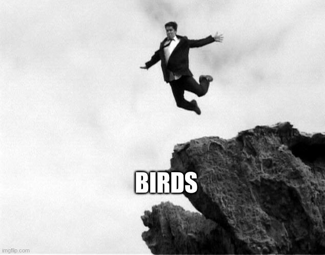 Man Jumping Off a Cliff | BIRDS | image tagged in man jumping off a cliff | made w/ Imgflip meme maker