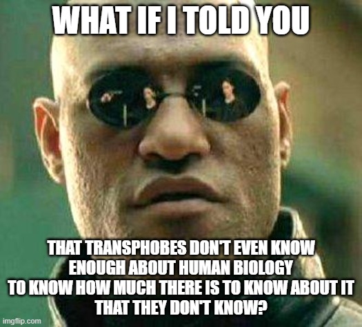 Have you ever wondered why actual biologists and doctors aren't a bunch of raging transphobes? | WHAT IF I TOLD YOU; THAT TRANSPHOBES DON'T EVEN KNOW
ENOUGH ABOUT HUMAN BIOLOGY
TO KNOW HOW MUCH THERE IS TO KNOW ABOUT IT
THAT THEY DON'T KNOW? | image tagged in what if i told you,transphobic,transgender,biology,science,ignorance | made w/ Imgflip meme maker