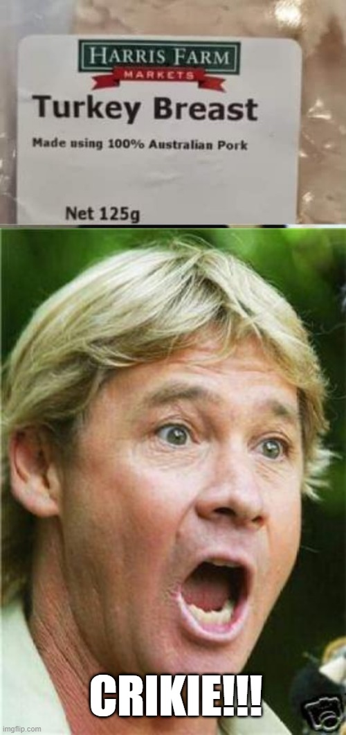 100% Gator? | CRIKIE!!! | image tagged in steve irwin shocked | made w/ Imgflip meme maker