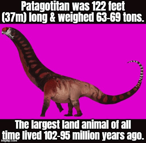 Hard To Imagine Imgflip
