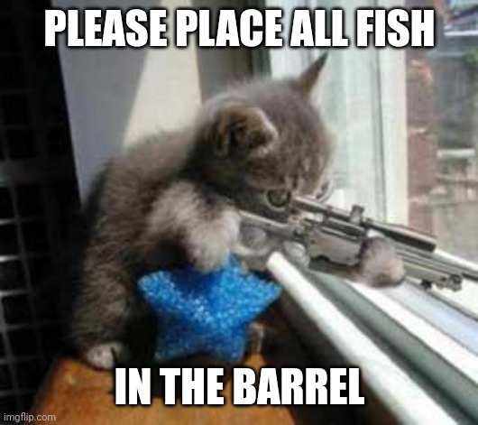 CatSniper | PLEASE PLACE ALL FISH IN THE BARREL | image tagged in catsniper | made w/ Imgflip meme maker