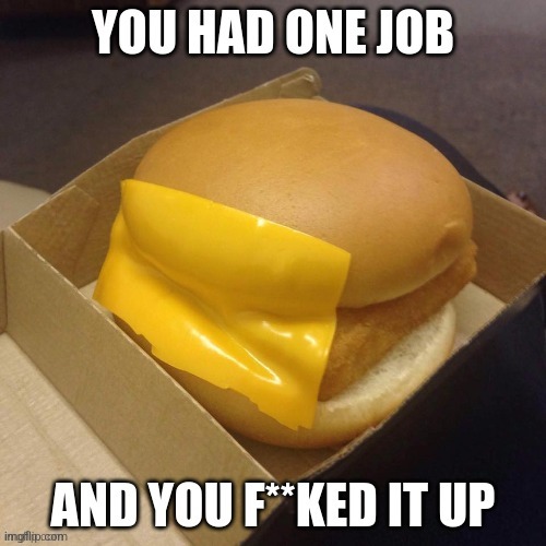 You had one job | image tagged in you had one job,meme,funny,cheeseburger | made w/ Imgflip meme maker