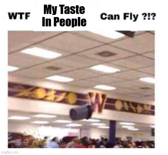 funni | My Taste In People | image tagged in wtf --------- can fly | made w/ Imgflip meme maker